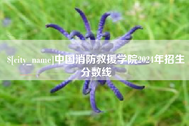 正定中国消防救援学院2024年招生分数线
