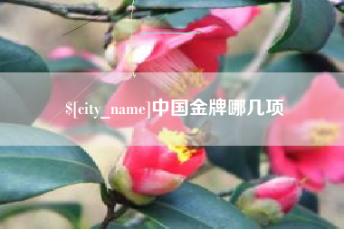 正定中国金牌哪几项
