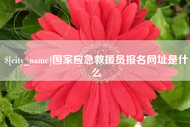 正定国家应急救援员报名网址是什么