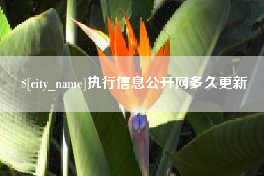 正定执行信息公开网多久更新