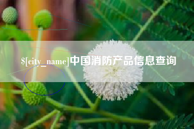 正定中国消防产品信息查询