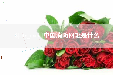 正定中国消防网址是什么