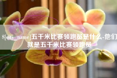 正定五千米比赛领跑员是什么-他们就是五千米比赛领跑员