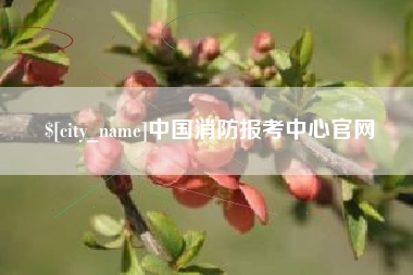 正定中国消防报考中心官网