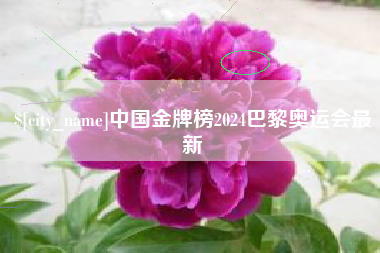 正定中国金牌榜2024巴黎奥运会最新