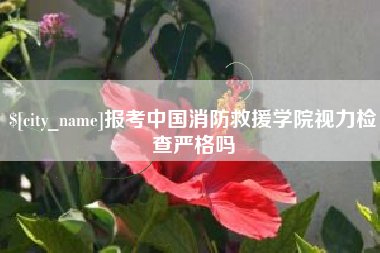 正定报考中国消防救援学院视力检查严格吗