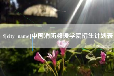 正定中国消防救援学院招生计划表