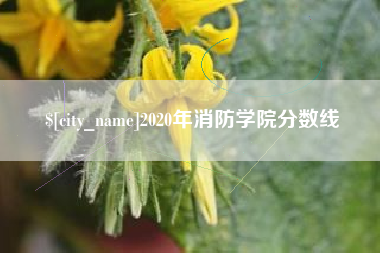 正定2020年消防学院分数线