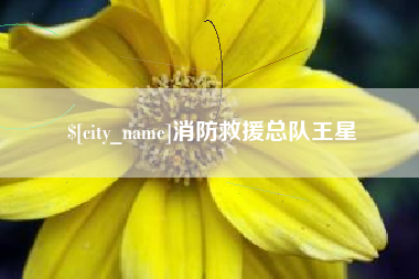 正定消防救援总队王星