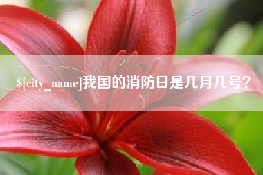 正定我国的消防日是几月几号？