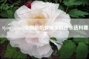 正定中国消防救援学院山东选科要求