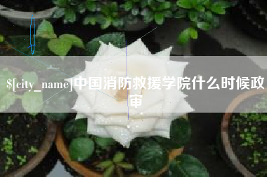 正定中国消防救援学院什么时候政审