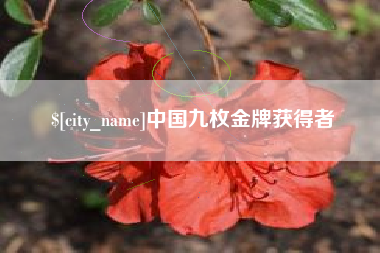 正定中国九枚金牌获得者