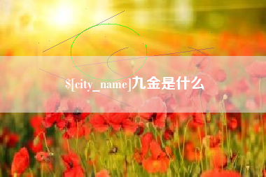 正定九金是什么