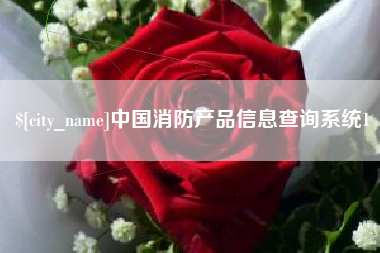 正定中国消防产品信息查询系统1