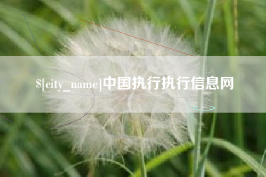 正定中国执行执行信息网