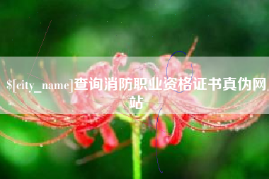 正定查询消防职业资格证书真伪网站