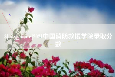 正定2021中国消防救援学院录取分数