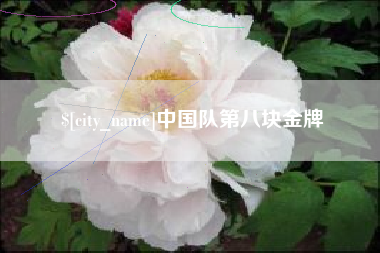 正定中国队第八块金牌
