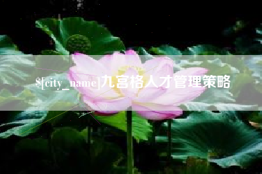 正定九宫格人才管理策略