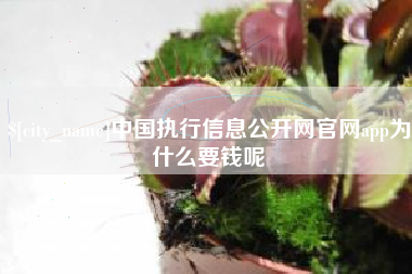 正定中国执行信息公开网官网app为什么要钱呢