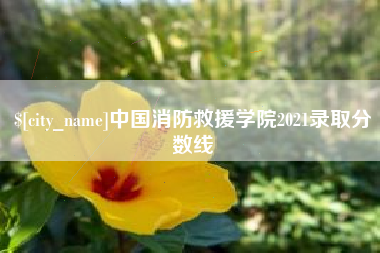 正定中国消防救援学院2021录取分数线