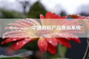 正定中国消防产品查询系统