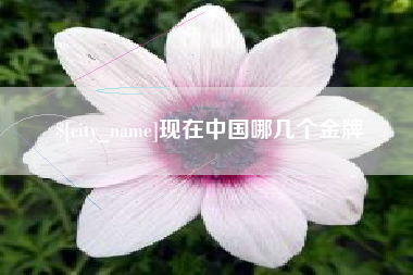正定现在中国哪几个金牌
