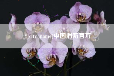 正定中国消防官方