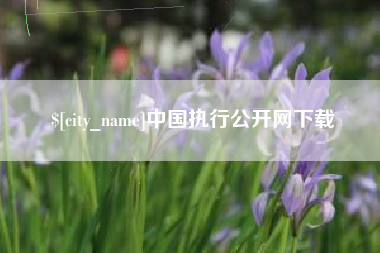 正定中国执行公开网下载