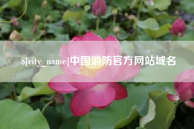正定中国消防官方网站域名