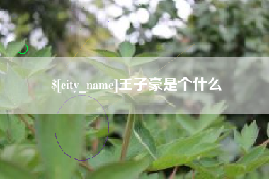 正定王子豪是个什么