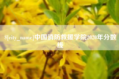 正定中国消防救援学院2020年分数线