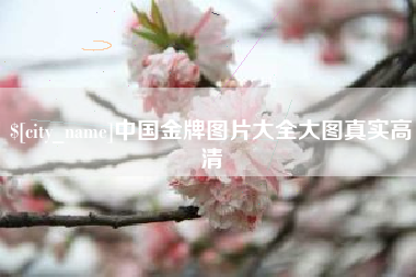 正定中国金牌图片大全大图真实高清