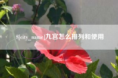 正定九宫怎么排列和使用