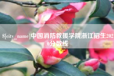 正定中国消防救援学院浙江招生2020分数线