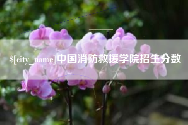正定中国消防救援学院招生分数