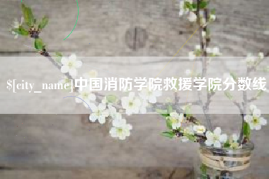 正定中国消防学院救援学院分数线