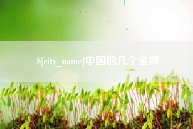 正定中国的几个金牌