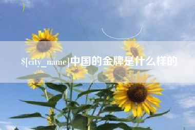 正定中国的金牌是什么样的