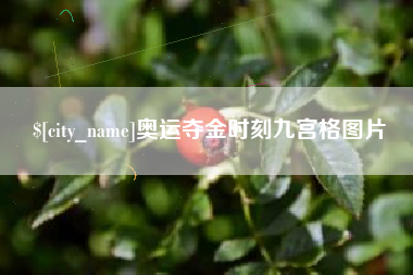 正定奥运夺金时刻九宫格图片