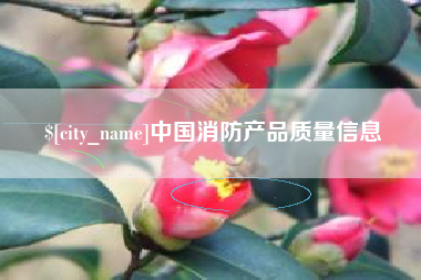 正定中国消防产品质量信息