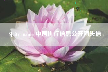 正定中国执行信息公开网失信