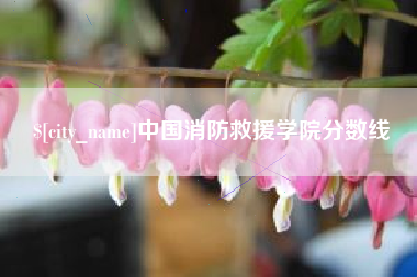 正定中国消防救援学院分数线