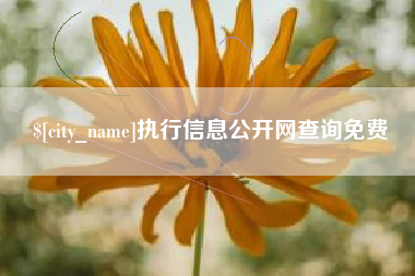 正定执行信息公开网查询免费