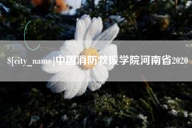 正定中国消防救援学院河南省2020
